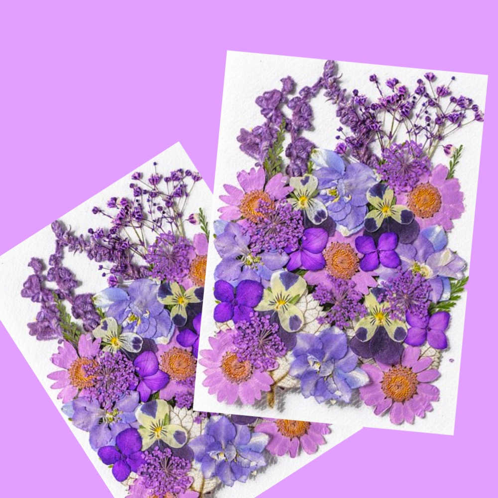 【A-ONE】永生壓花 乾燥壓花 書籤DIY 押花真花壓花 植物標本素材 乾花 小菊花 花藝材料包 永生花材