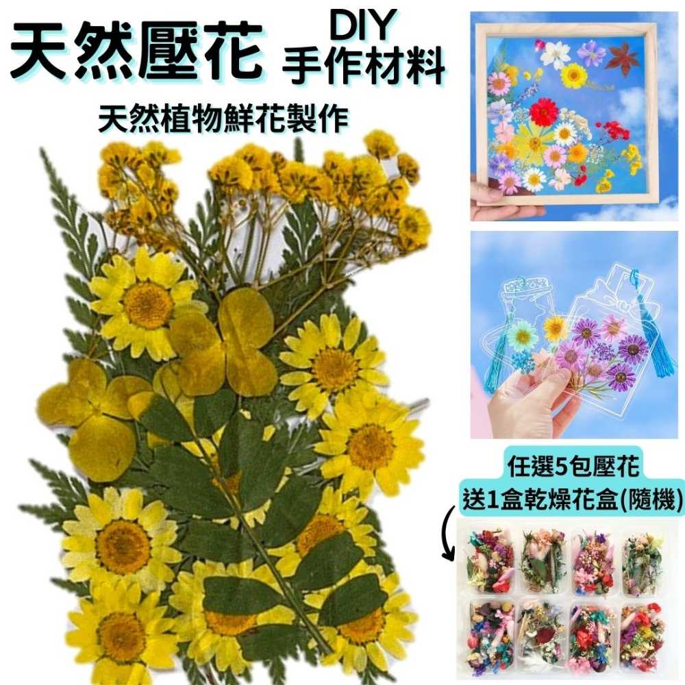 【A-ONE】乾燥壓花 押花材料 永生花 植物花卉 手賬手工裝飾 DIY材料 花朵 壓花貼畫 材料包
