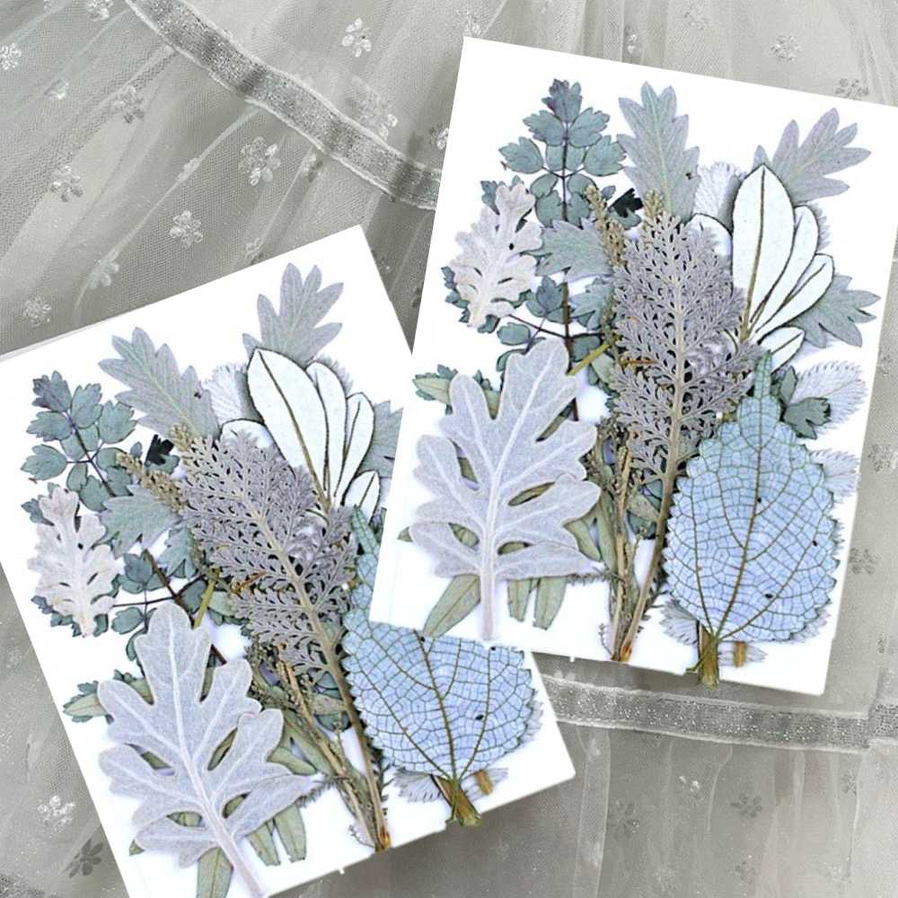 【A-ONE】精選真花壓花 押花 乾燥花 可做蠟燭 滴膠 壁畫 DIY水晶滴膠 書籤 多款可選 植物壓花