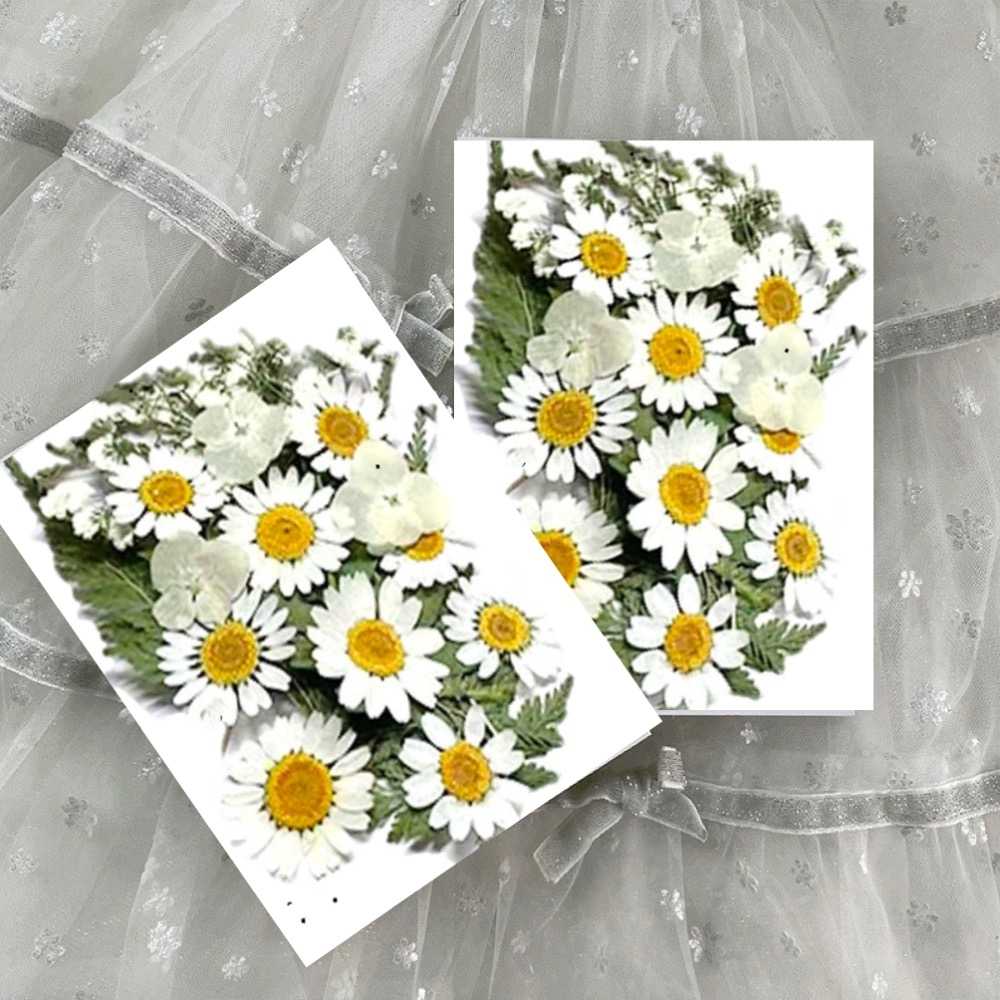 【A-ONE】乾燥真花壓花 乾燥花 拼貼 水晶滴膠 貼臉裝飾 新娘妝 少女寫真DIY 壓花材料 樹葉書籤