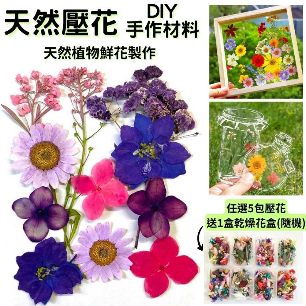 【A-ONE】乾燥花材料盒 永生花材料 DIY花材 乾燥花 永生花 不凋花 香薰蠟燭材料 浮油花 裝飾花 壓花