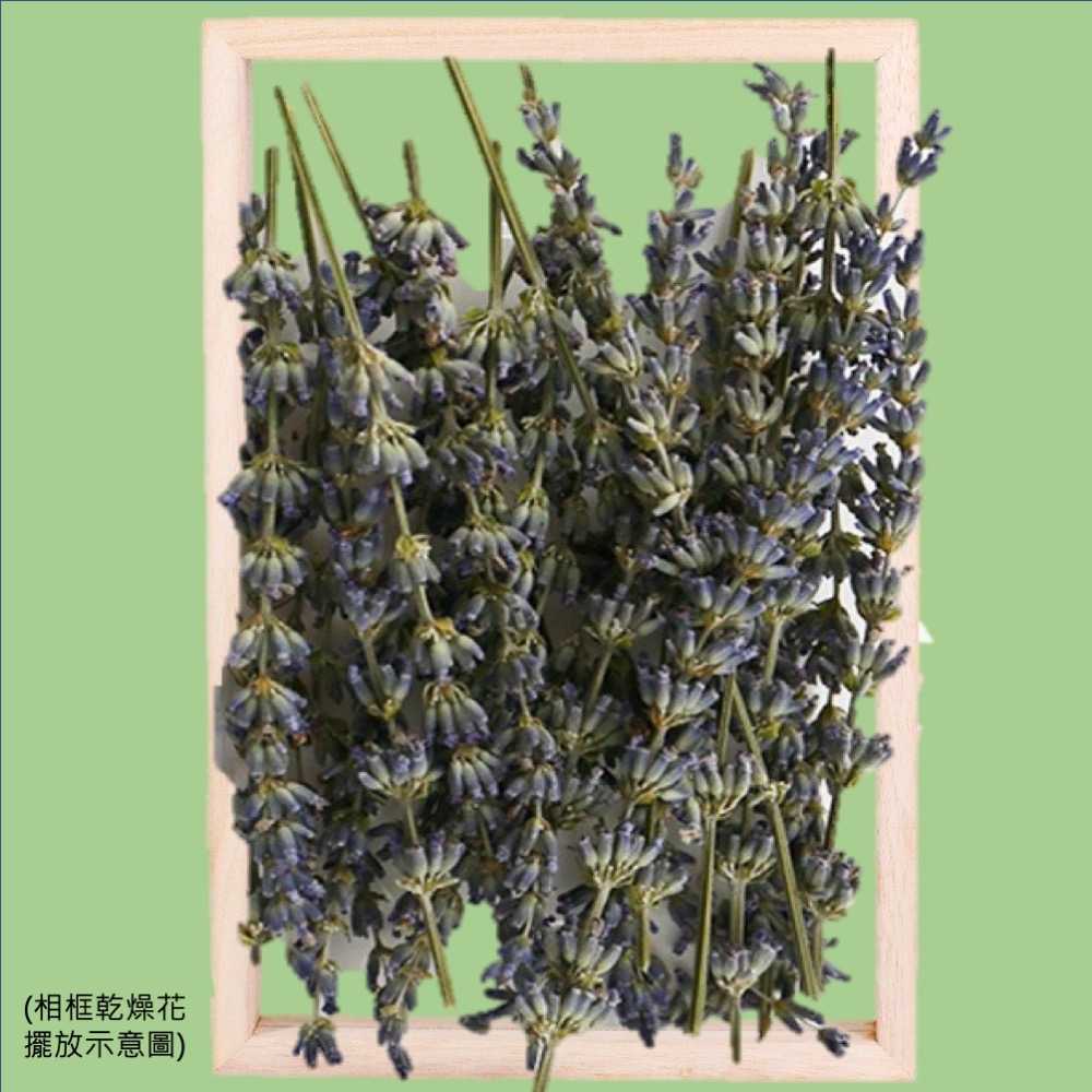 【A-ONE】乾薰衣草 花藝材料包 浮游花 綜合乾燥花 乾燥花 植物標本 森林系 花材材料包 永生花 A22