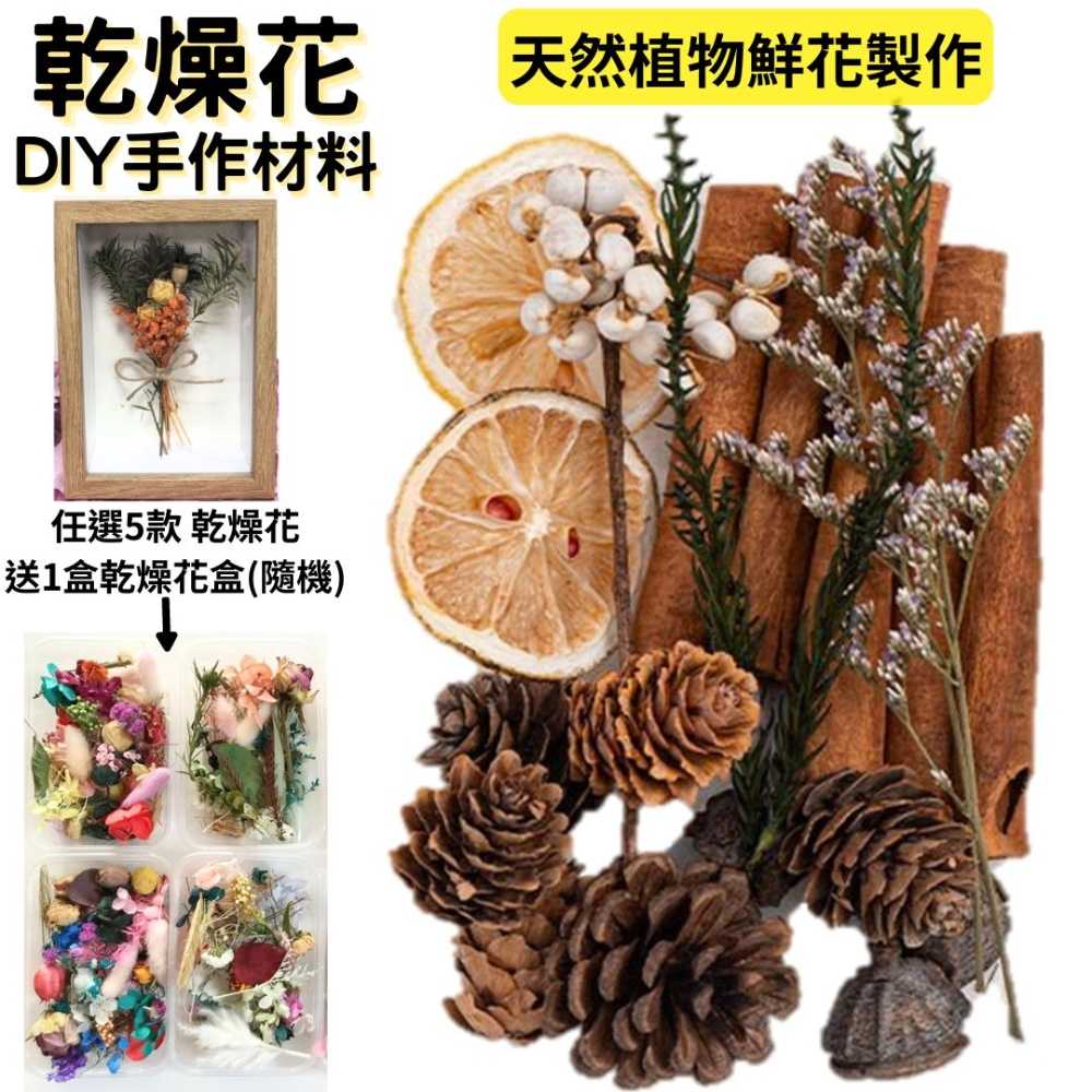 【A-ONE】乾燥花盒 植物風乾松果 肉桂 橡果 永生花 DIY手作 花材盒 佈置 裝飾 乾燥花 B16 綜合乾果盒A