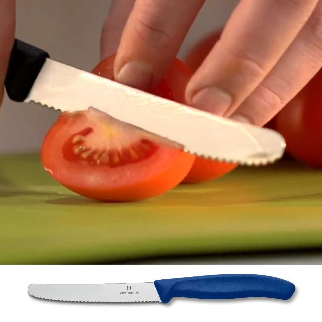 瑞士 VICTORINOX 維氏 Swiss Classic 蔬果廚刀及餐刀 蔬果刀 VICT-6.7832 藍色