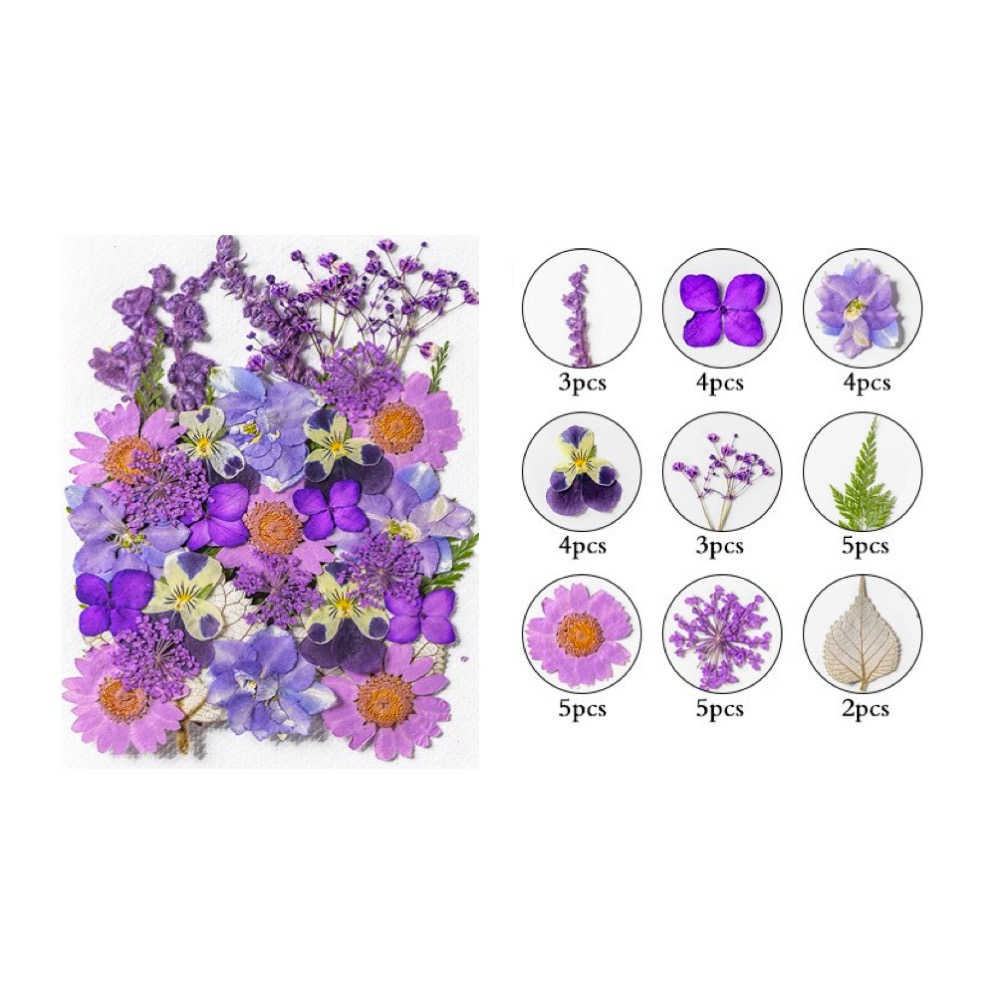 【A-ONE】永生壓花 乾燥壓花 書籤DIY 押花真花壓花 植物標本素材 乾花 小菊花 花藝材料包 永生花材