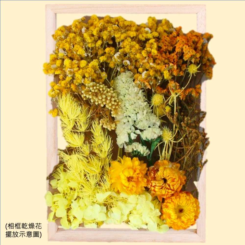 【A-ONE】永生花 永生花 果實 菊花 花束 捧花 乾燥花 不凋花 材料 永生花 花材 C09 秋高氣爽