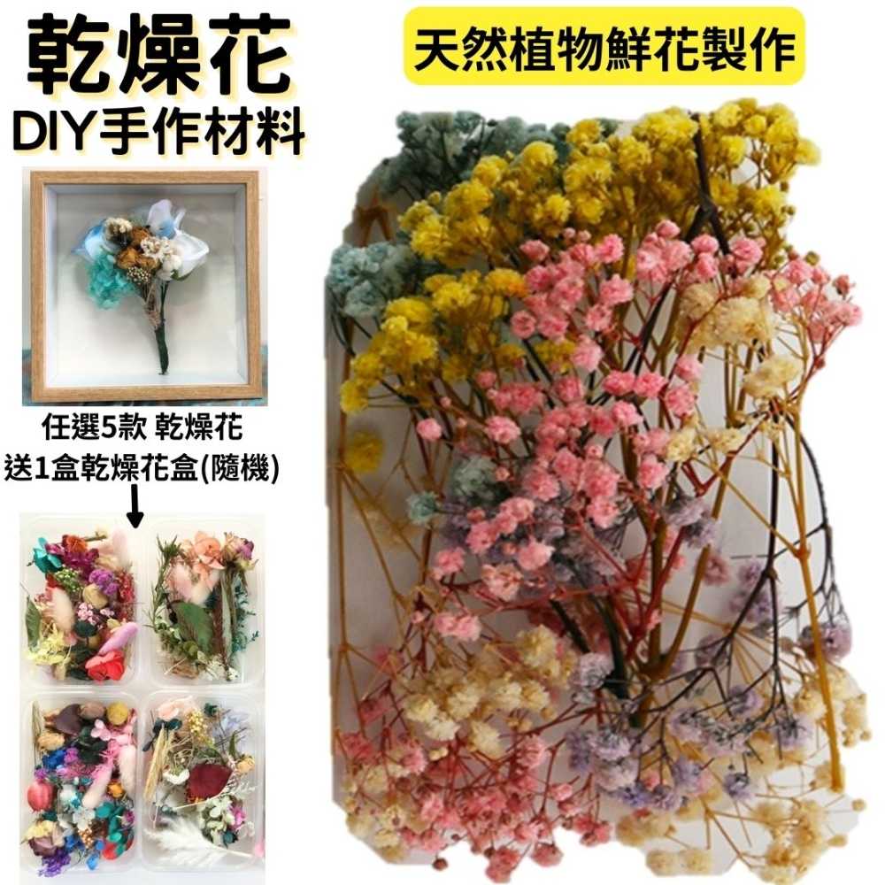 【A-ONE】永生滿天星 3色混搭 乾燥花 永生花 索拉花 DIY手作 花材盒 佈置 送禮裝飾 居家裝飾 A24