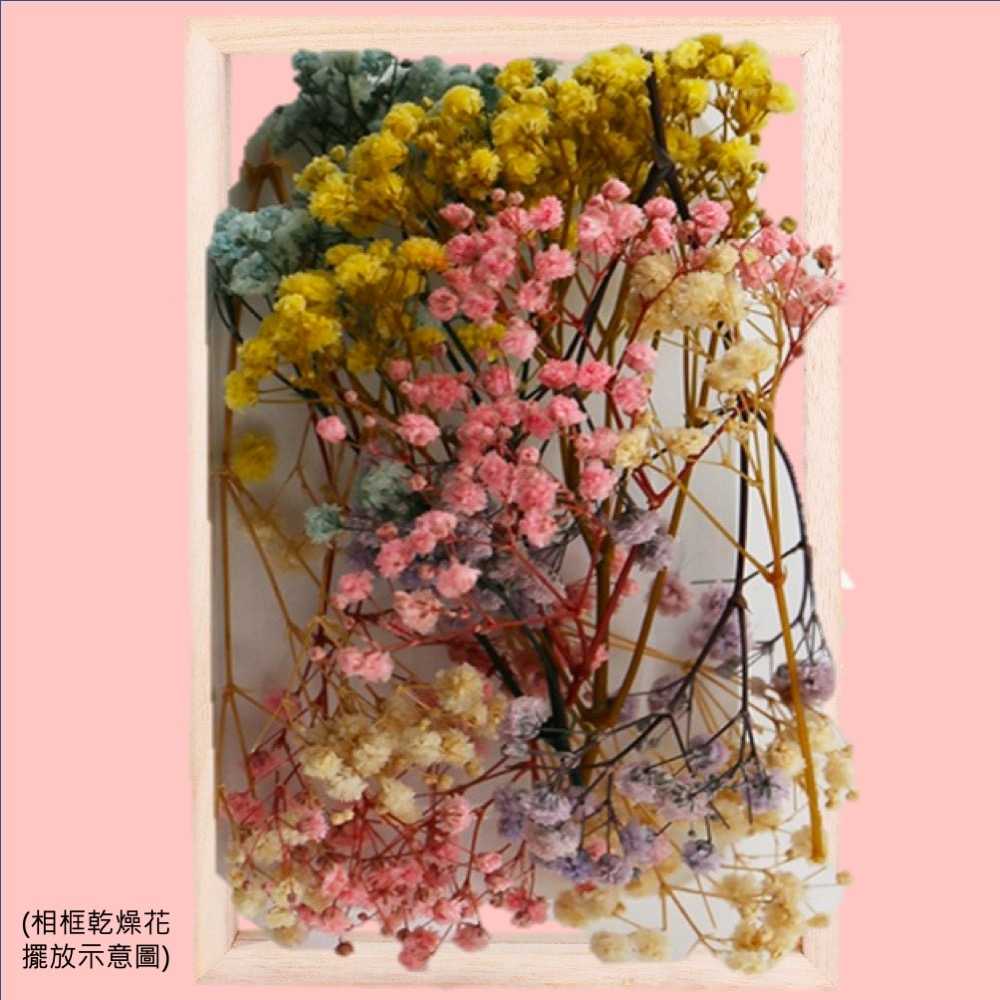 【A-ONE】永生滿天星 3色混搭 乾燥花 永生花 索拉花 DIY手作 花材盒 佈置 送禮裝飾 居家裝飾 A24