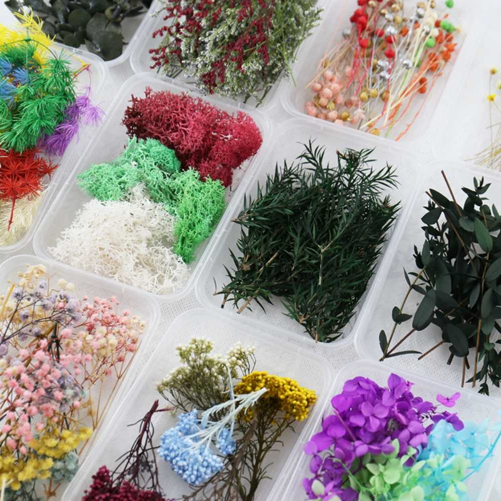 【A-ONE】永生花材料包 永生情人草 DIY天然乾燥花 植物果實 花材 花藝 乾燥花 不凋花 乾花 C13 藍色療癒