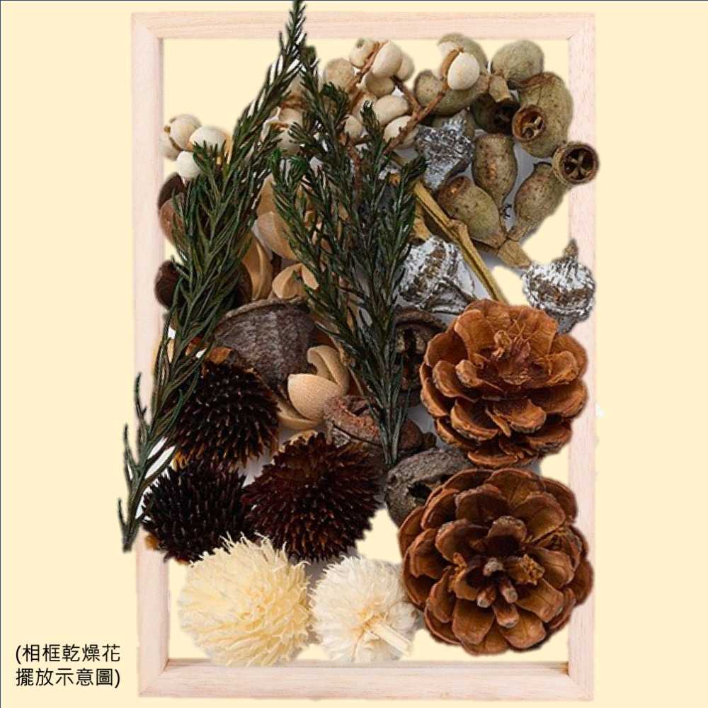 【A-ONE】乾燥花 永生花 DIY材料包 松果 樹葉 短枝花材 花藝材料包 DIY配件 B11 綜合乾果盒F