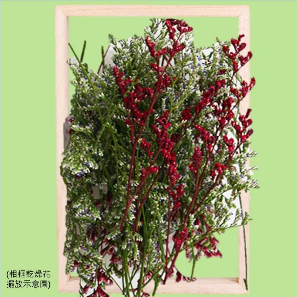 【A-ONE】永生情人草 3色混搭 乾燥花DIY材料包 花材料包 植物果實 花藝材料包 浮游花 綜合乾燥花 A20