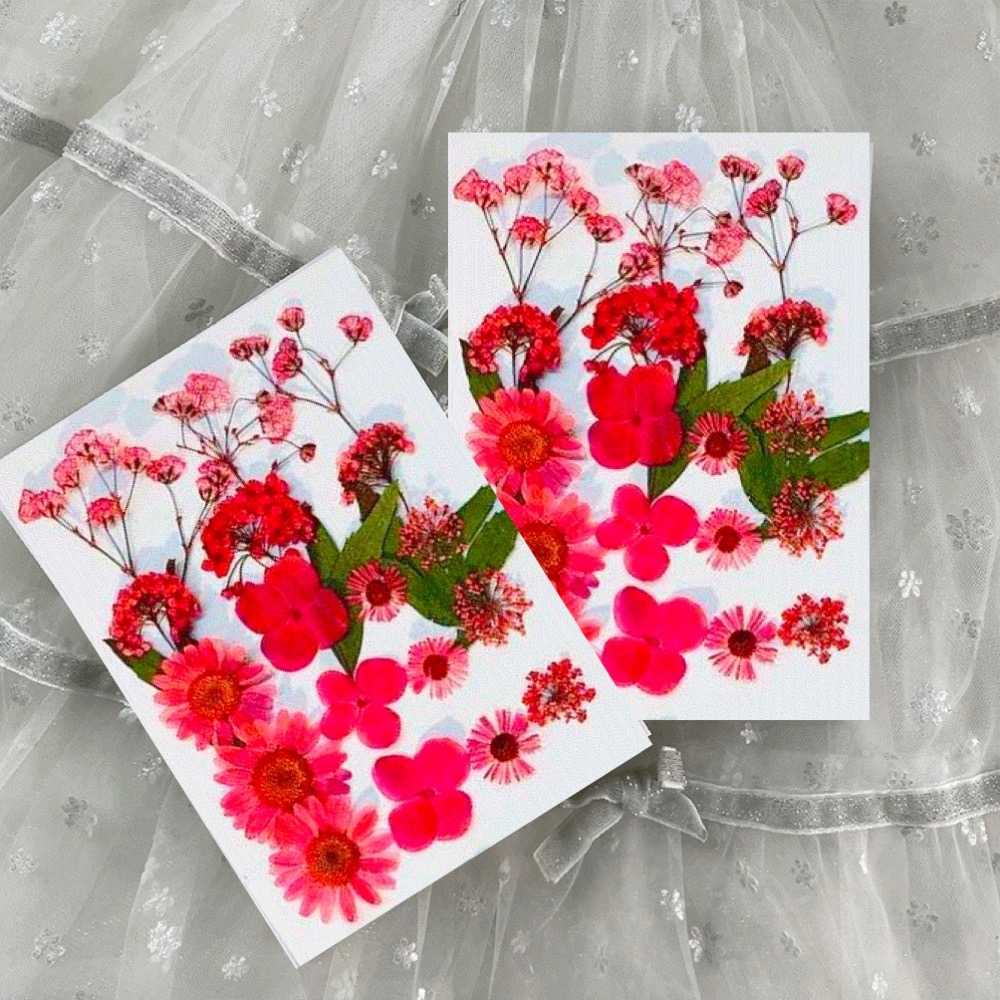 【A-ONE】天然壓花 押花書籤 壓花材料包 乾燥花書籤 壓花材料 壓花DIY 樹葉書籤 乾燥花