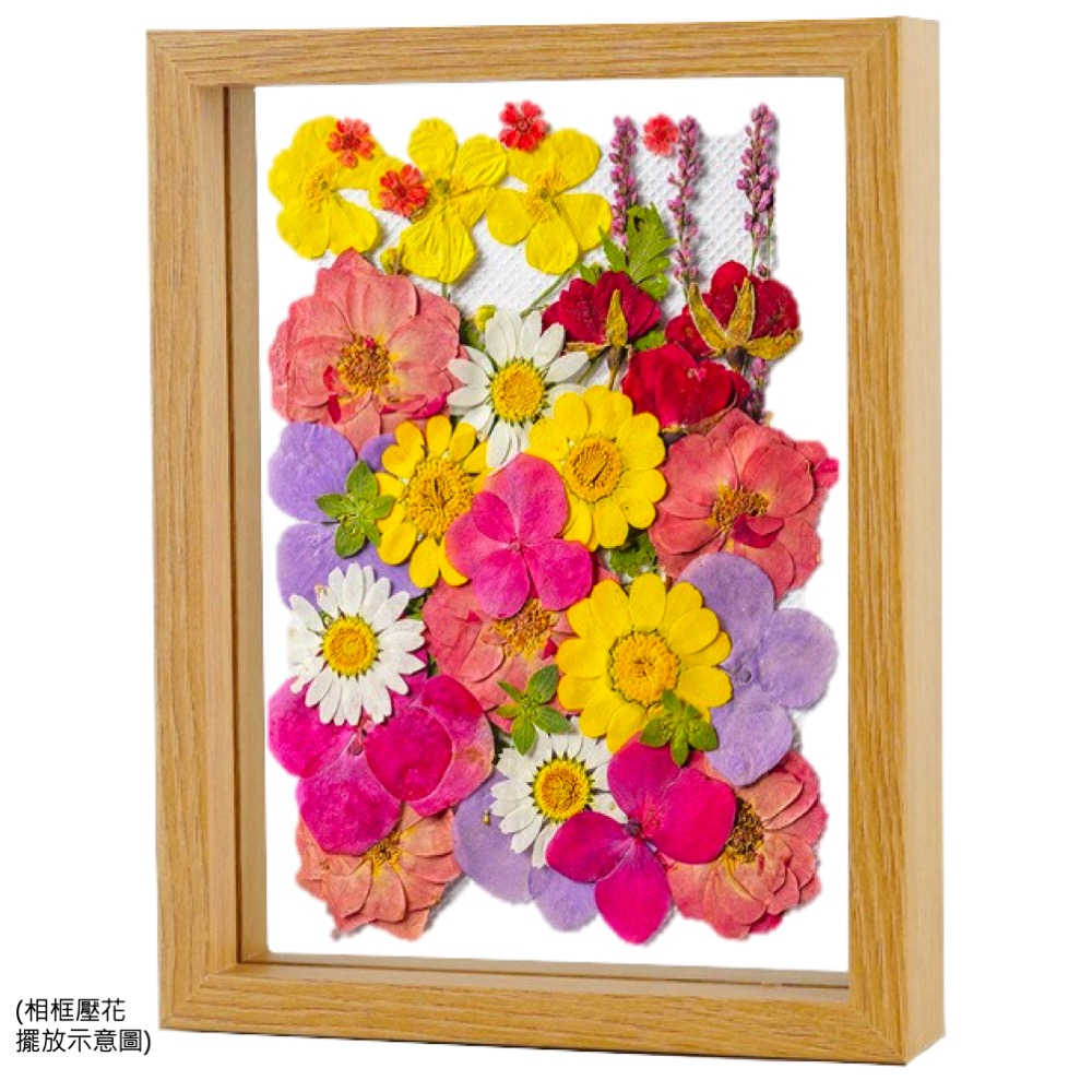 【A-ONE】綜合乾燥花包 永生花材 可做蠟燭 浮油花 壓花 卡片 教學花材包 乾燥花材包