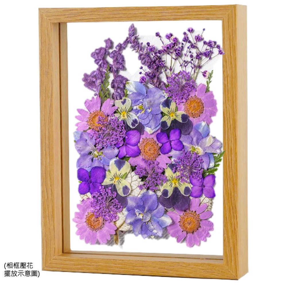 【A-ONE】永生壓花 乾燥壓花 書籤DIY 押花真花壓花 植物標本素材 乾花 小菊花 花藝材料包 永生花材