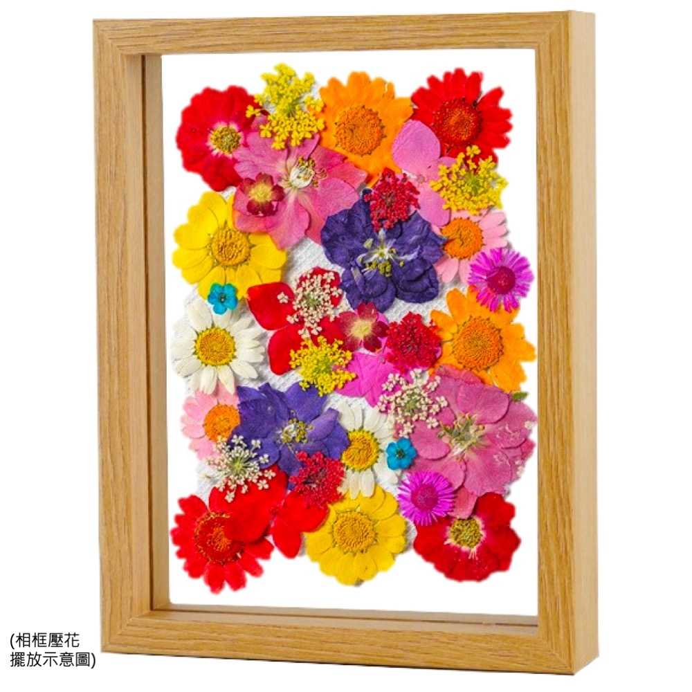 【A-ONE】永生壓花材 居家裝飾 乾燥壓花 不凋花 押花 拍照必備 花藝書籤 多款可選 植物標本壓花