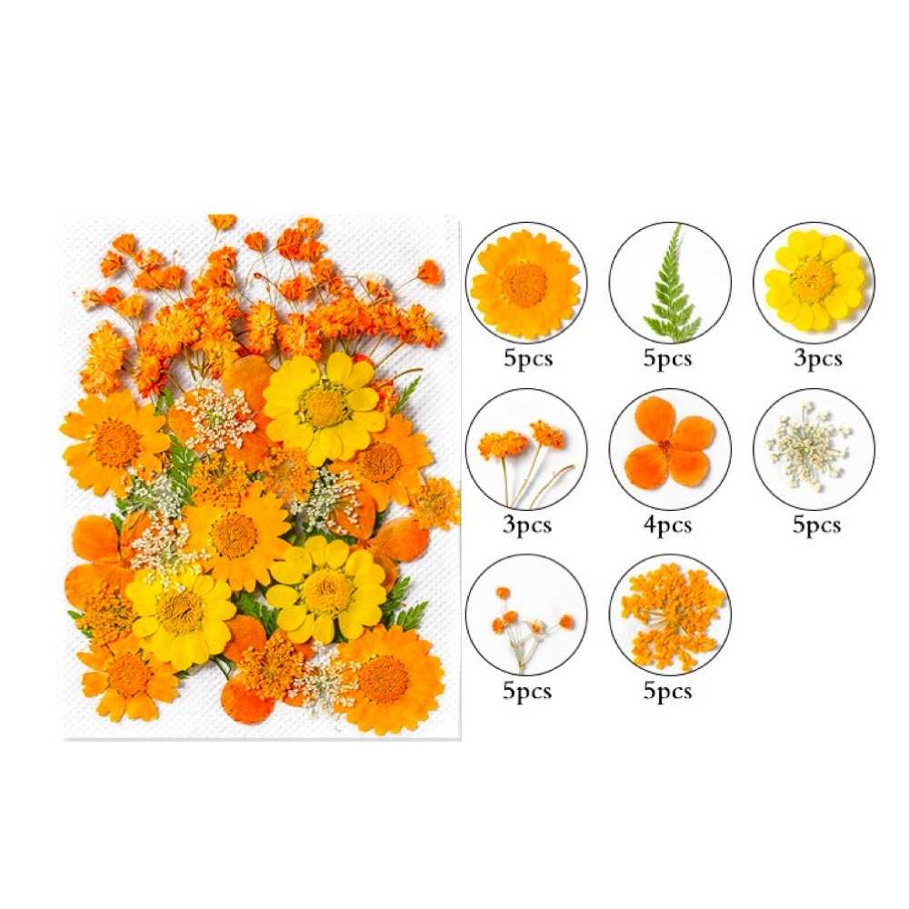 【A-ONE】天然乾燥花材包 小菊花 櫻花 粉黃 押花 壓花書籤 拍攝道具 花藝材料包 永生花材