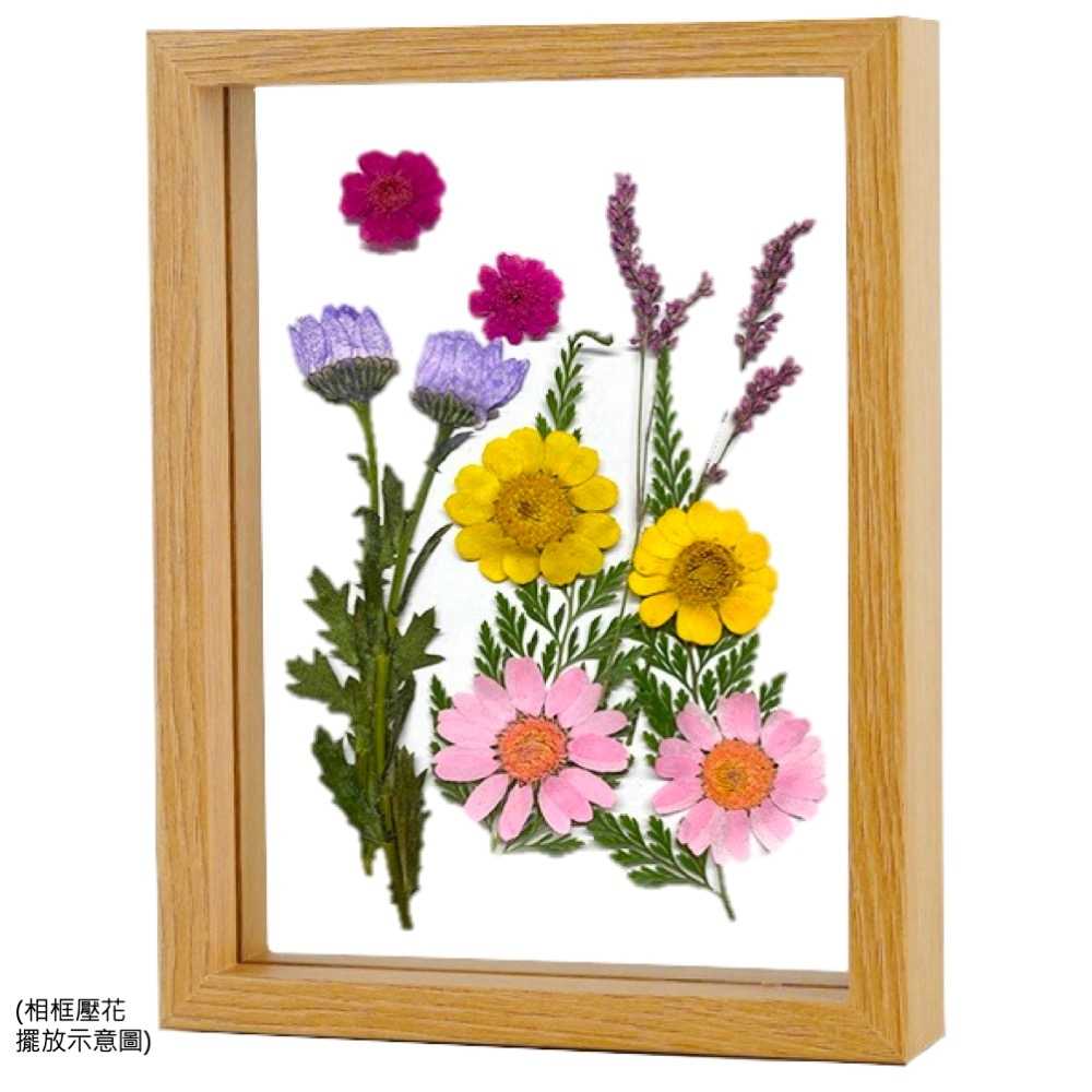 【A-ONE】真花壓花 永生花 春色粉菊花 DIY水晶滴膠 飾品 手帳裝飾 乾燥花 植物 押花標本 書籤
