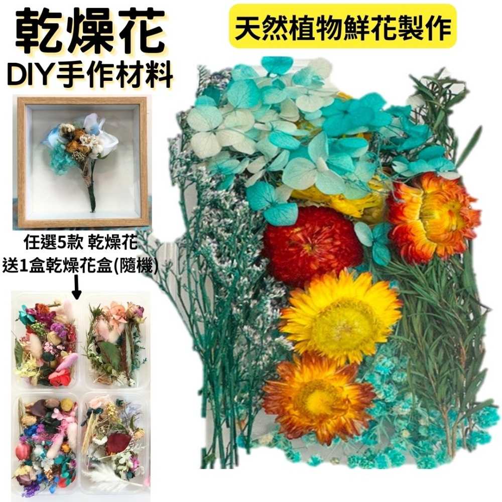 【A-ONE】植物果實 拍照道具 花材 花藝材料包 浮游花 永生花 浮油花 乾花 乾燥花材 A03 夢幻森林