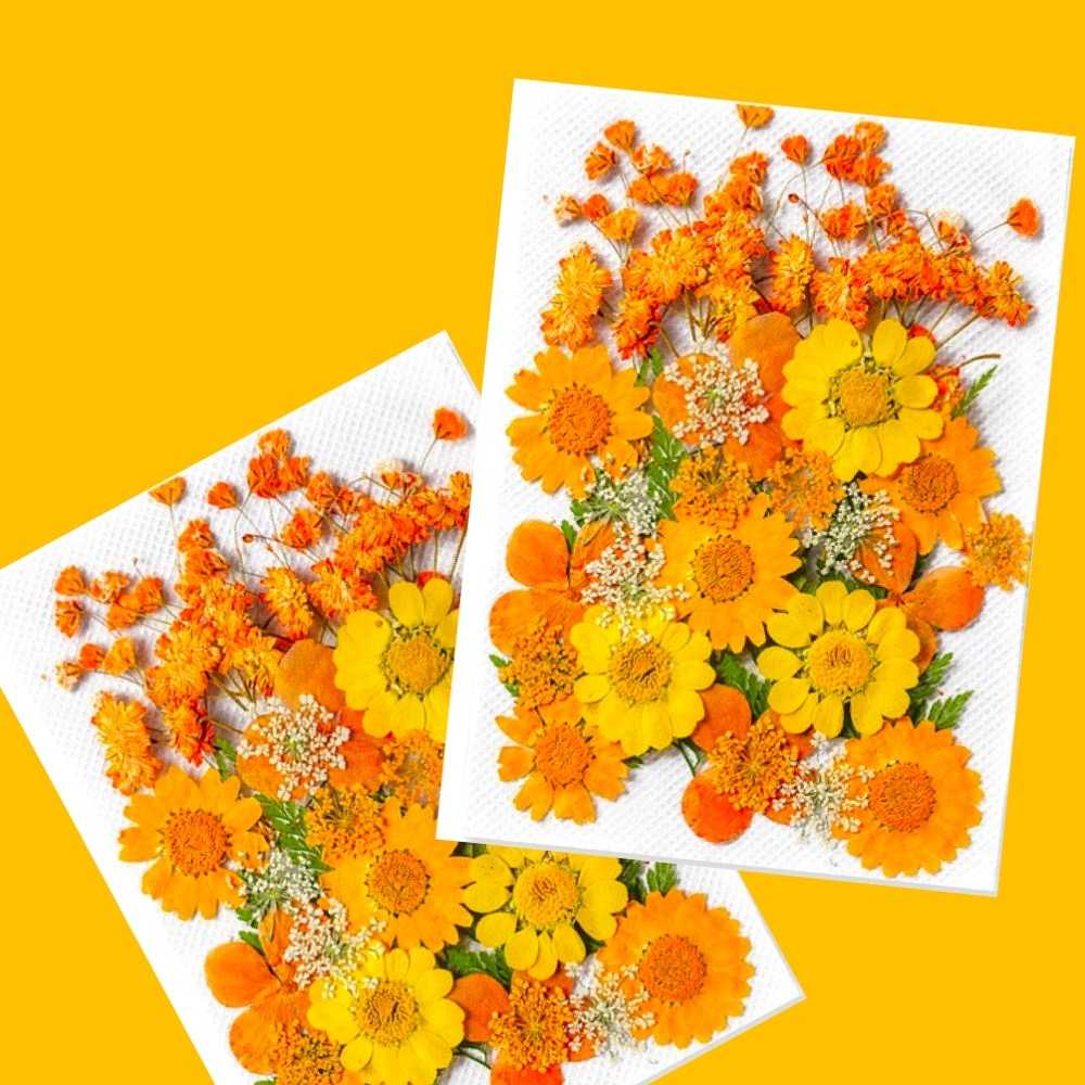 【A-ONE】天然乾燥花材包 小菊花 櫻花 粉黃 押花 壓花書籤 拍攝道具 花藝材料包 永生花材