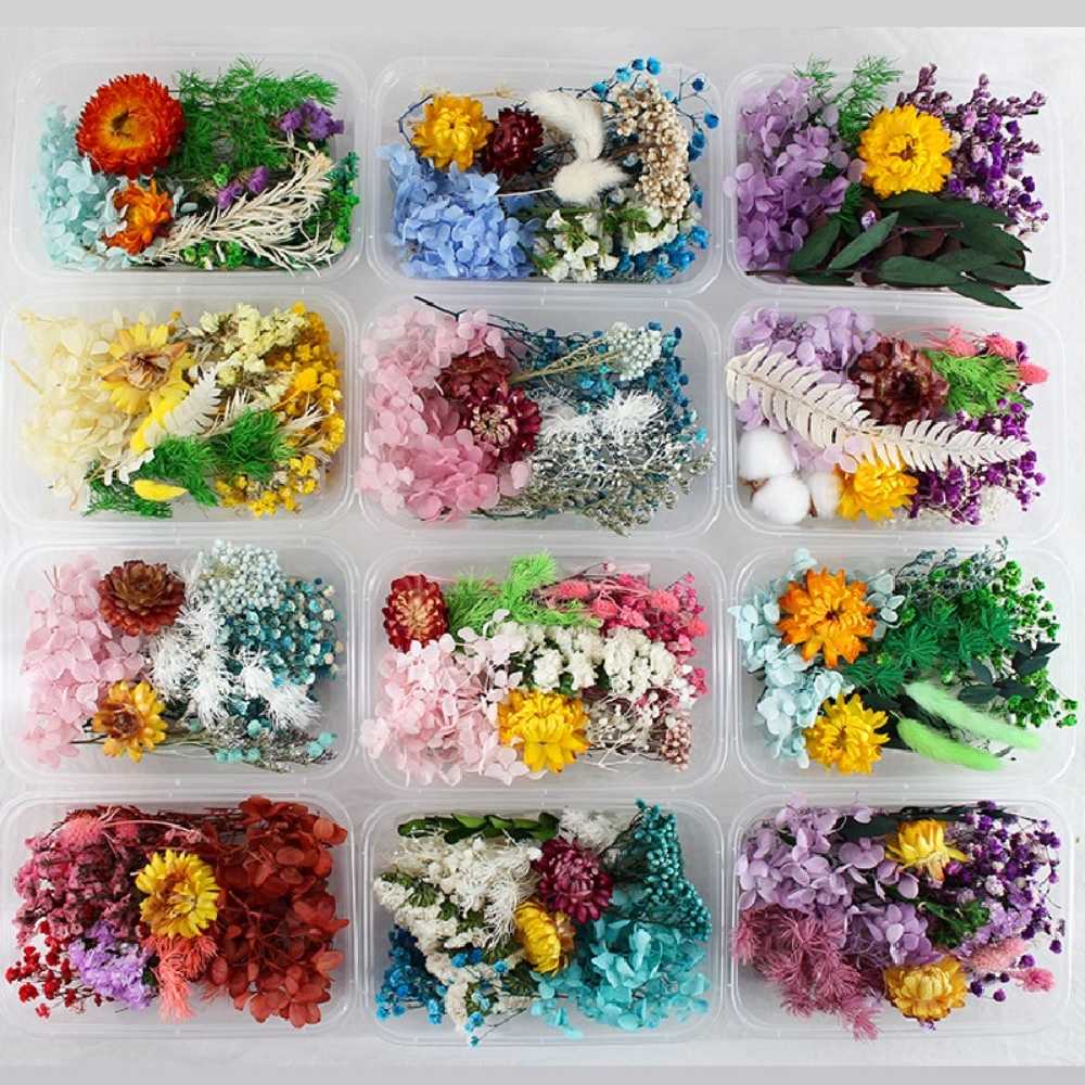 【A-ONE】乾燥永生花 不凋滿天星 捧花胸花 桌花花材 乾燥花束材料 不凋花玫瑰配材 素材 鄉村風 B10 魔法森林