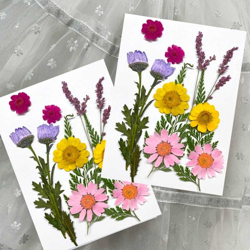 【A-ONE】真花壓花 永生花 春色粉菊花 DIY水晶滴膠 飾品 手帳裝飾 乾燥花 植物 押花標本 書籤