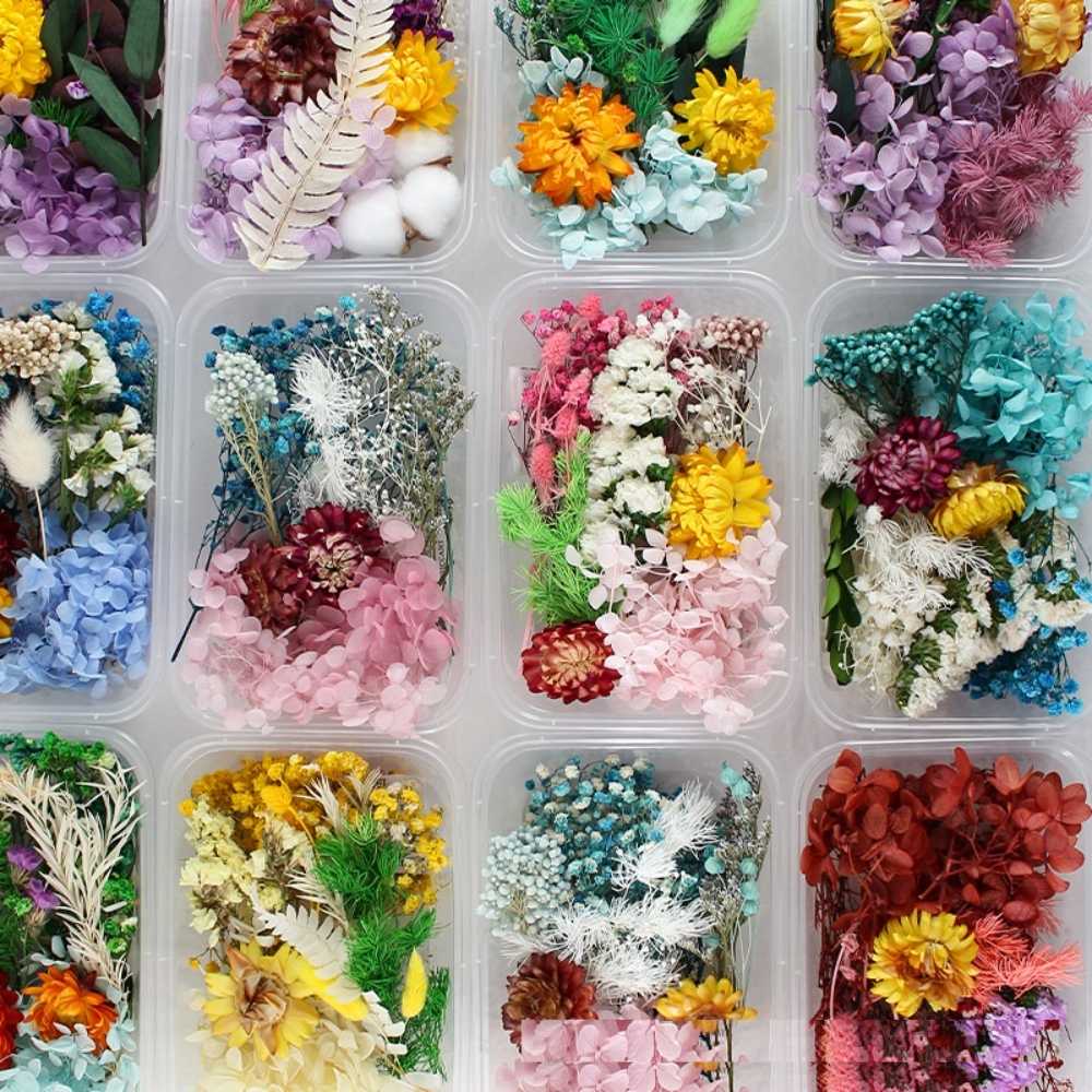 【A-ONE】永生花 永生花 果實 菊花 花束 捧花 乾燥花 不凋花 材料 永生花 花材 C09 秋高氣爽