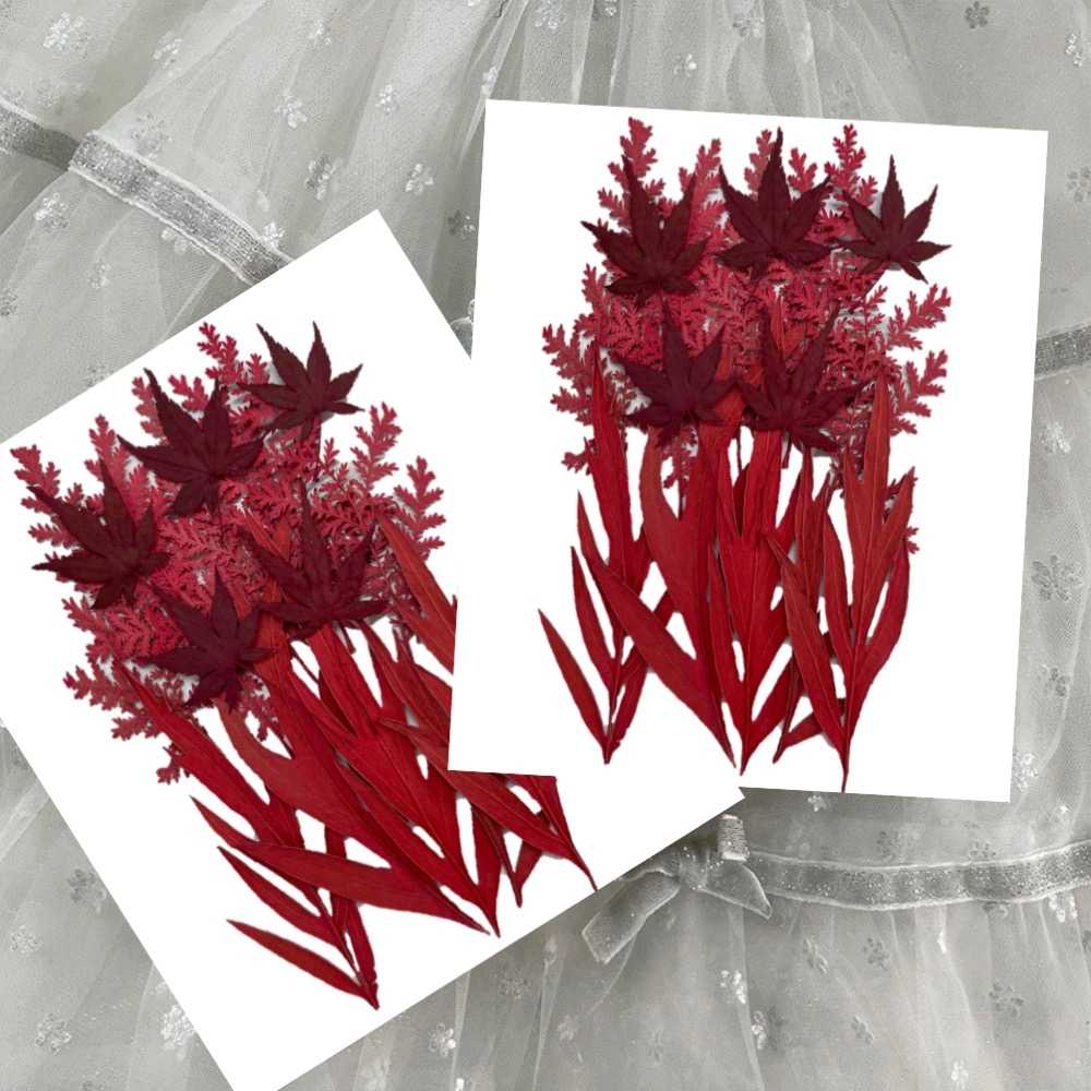 【A-ONE】壓花材料 乾燥花材料 壓花 押花 手工壓花 植物 壓花DIY 乾花 乾燥花DIY 書籤乾燥花