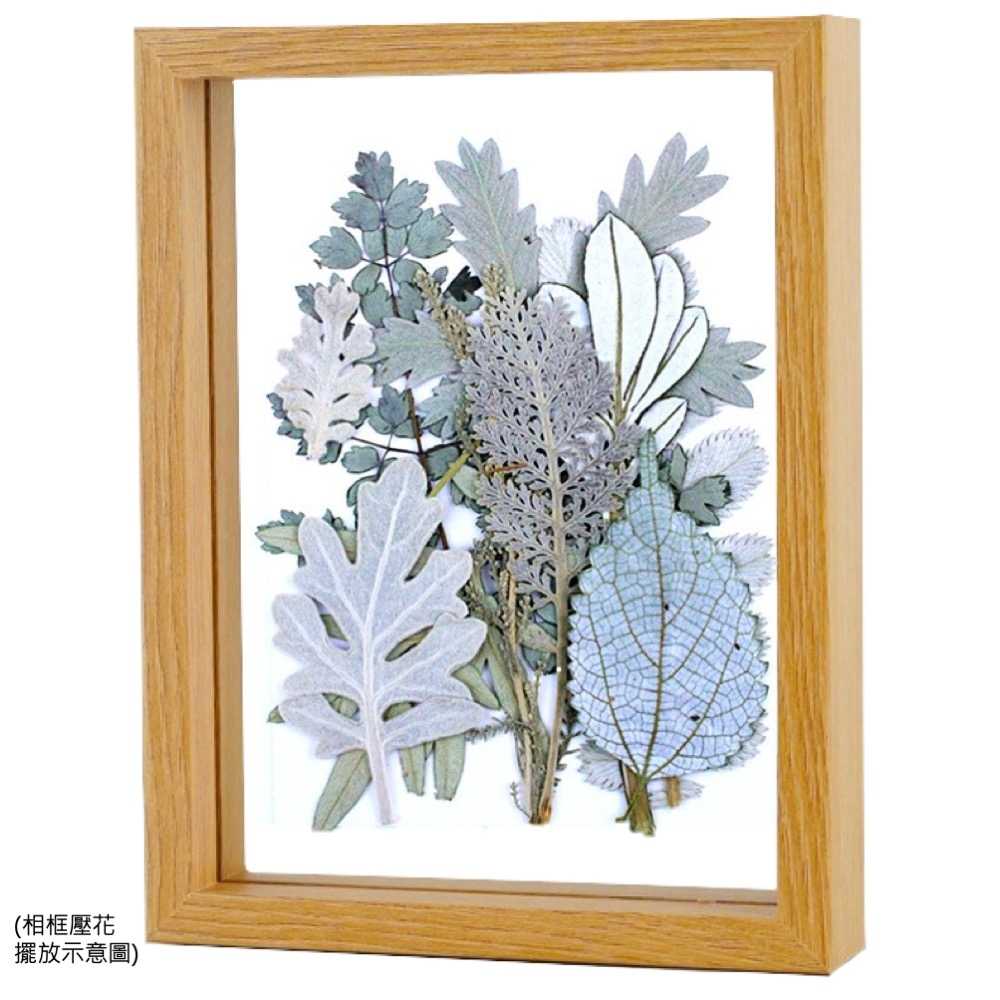 【A-ONE】精選真花壓花 押花 乾燥花 可做蠟燭 滴膠 壁畫 DIY水晶滴膠 書籤 多款可選 植物壓花