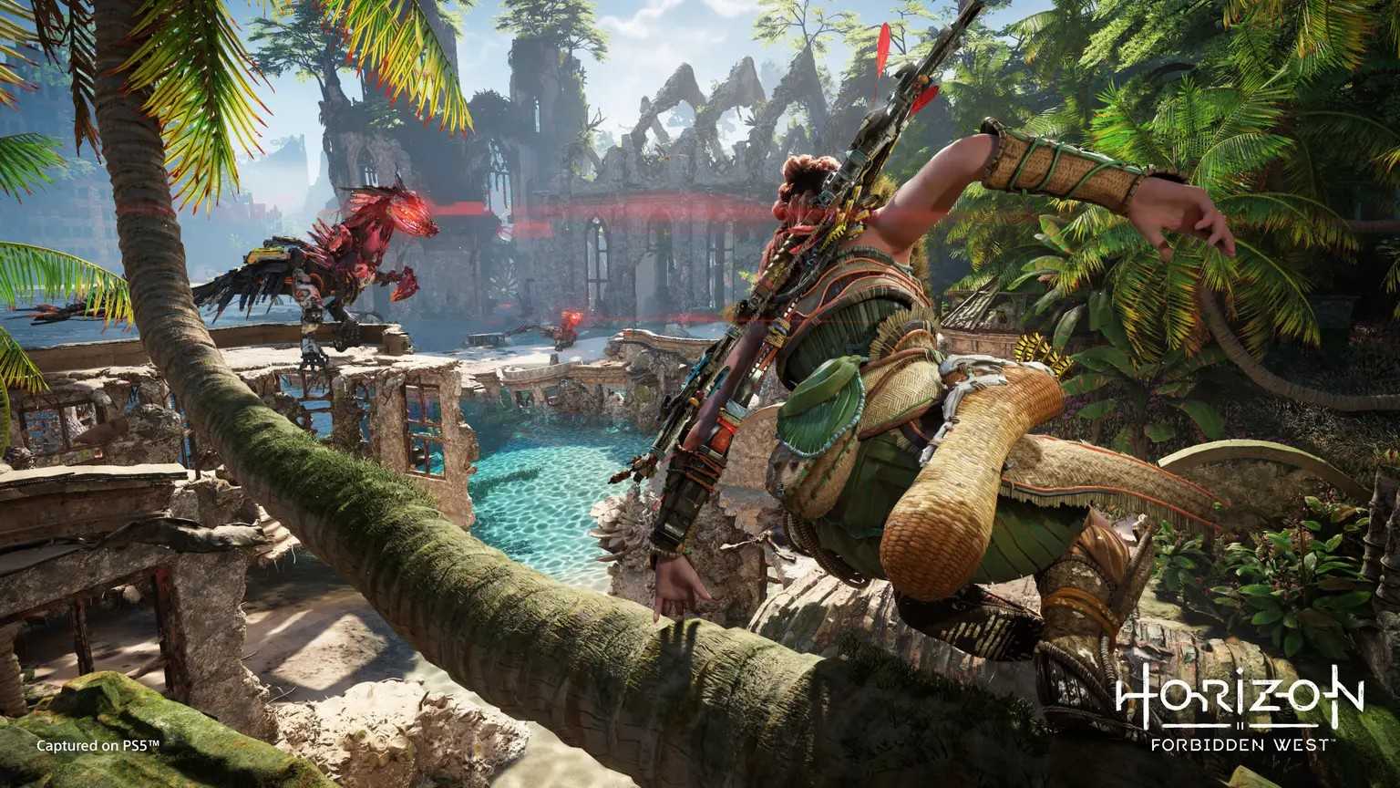 PS4《 地平線：西域禁地 》中文特別版1