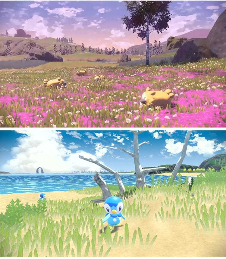 阿爾宙斯 內容照片-4