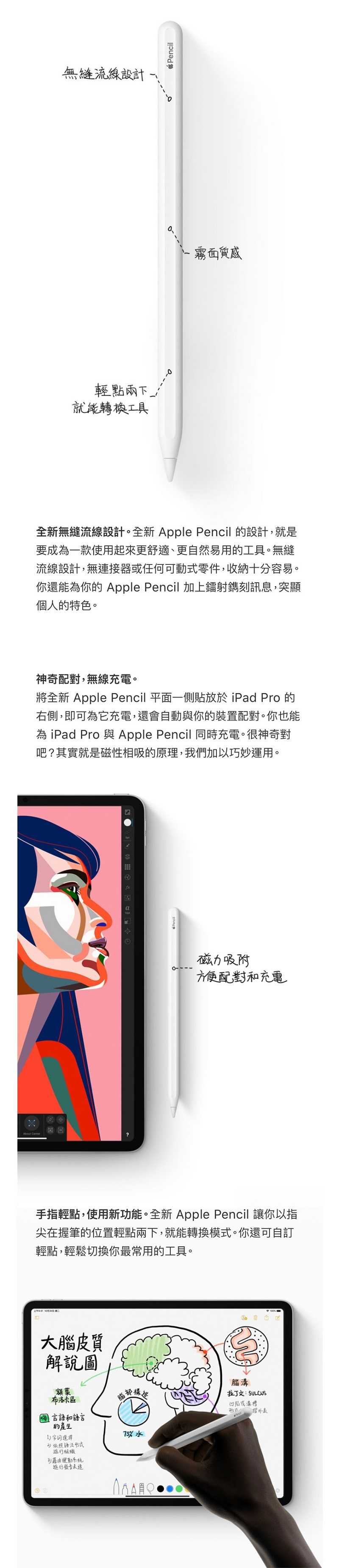 apple pencil 二代 內容照片-2