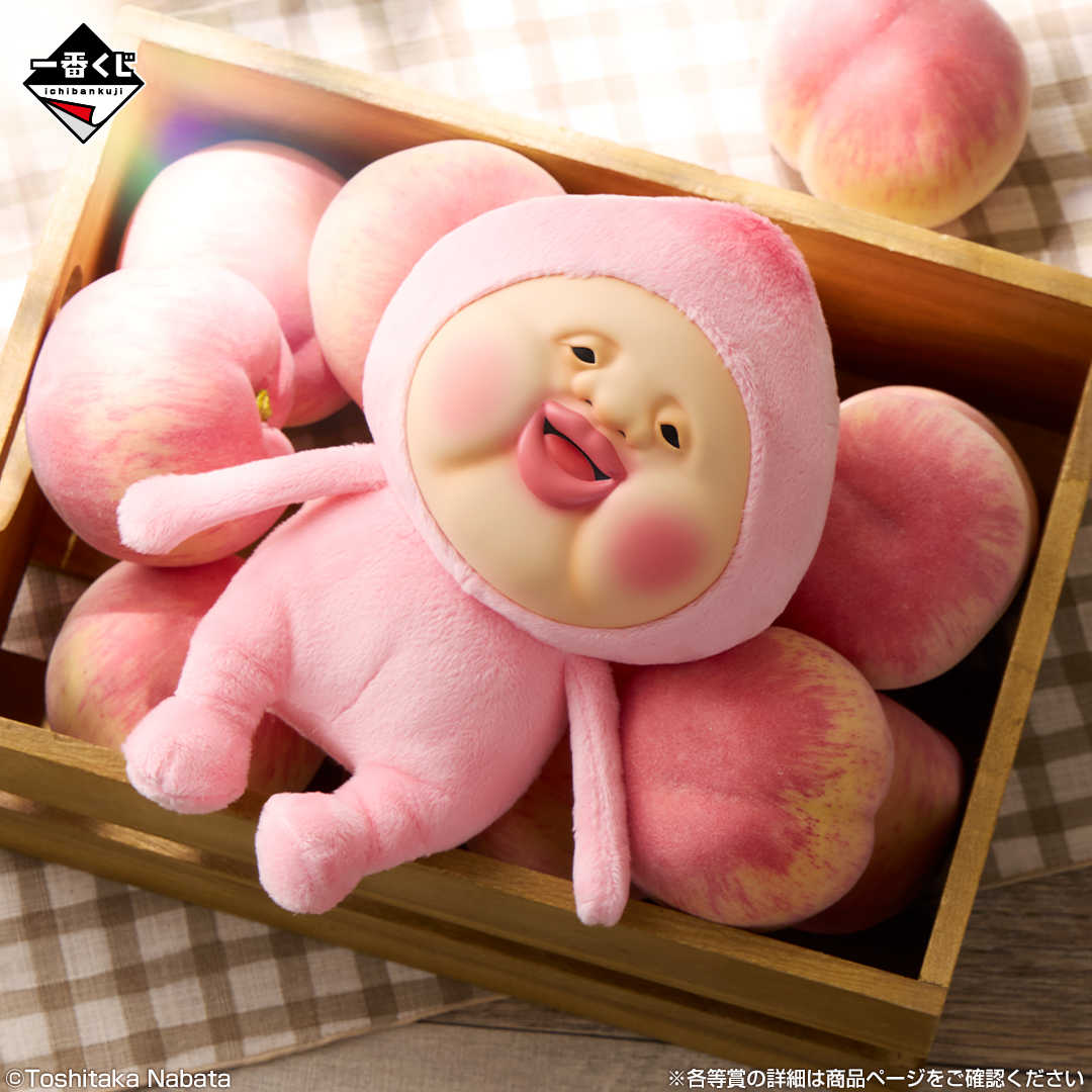 【一番賞線上抽】一番賞 醜比頭圖鑑