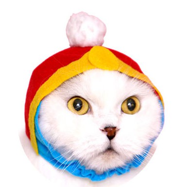 【⚜️FLY OUT⚜️】『現貨』Kitan  可愛萌貓頭飾柯比星 星之卡比   貓咪 頭巾 扭蛋 轉蛋 全5款 《現貨整套帶走》