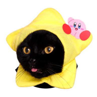 【⚜️FLY OUT⚜️】『現貨』Kitan  可愛萌貓頭飾柯比星 星之卡比   貓咪 頭巾 扭蛋 轉蛋 全5款 《現貨整套帶走》