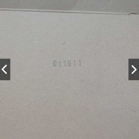 【刀劍神域 EXQ 愛麗絲 Alice 泳裝 日版】SAO 辛賽西斯 薩提 正版 滋貝魯庫 Alicization篇 新