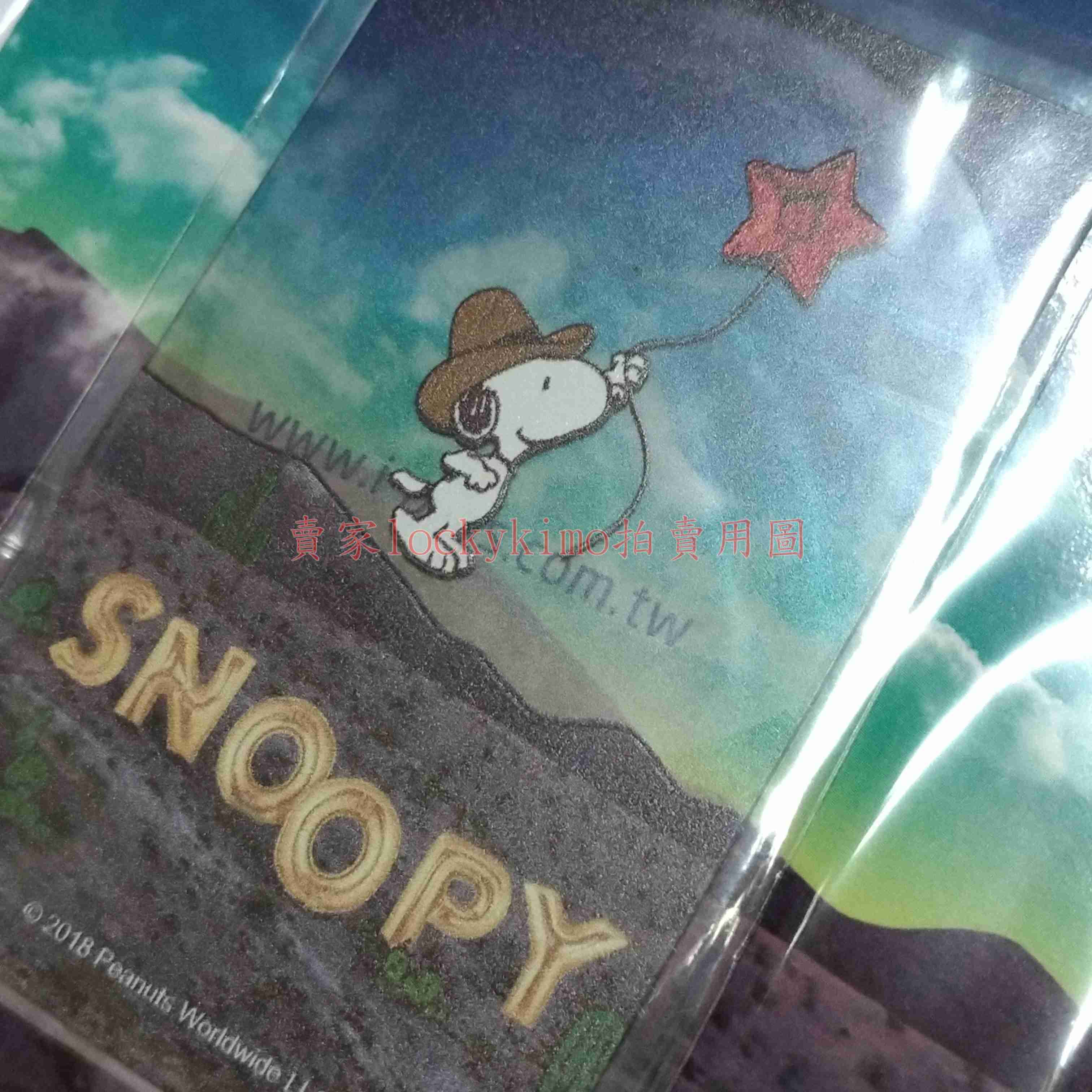 【SNOOPY 飛奔月球 一卡通 iPASS】史努比 珍藏卡 收藏 卡片 捷運 card 收藏卡 史奴比 卡 特殊 卡面