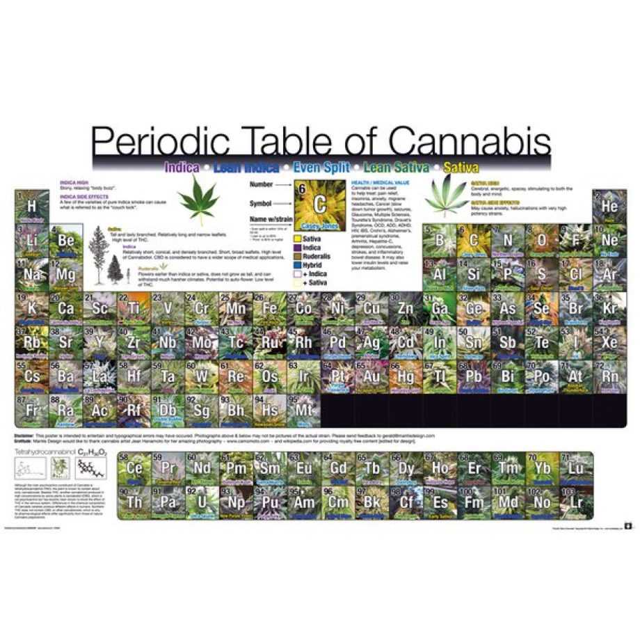 大麻週期表 PERIODIC TABLE Of Cannabis – 英國進口海報