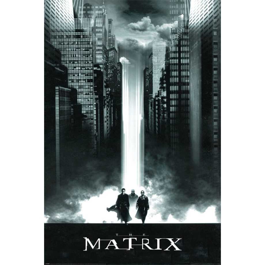 駭客任務 The Matrix (Lightfall) -英國進口海報