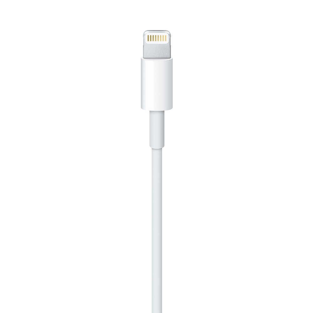 Apple原廠 Lightning 對 USB 充電線(1M) 1公尺 傳輸線 連接線(MUQW3FE/A 2024)