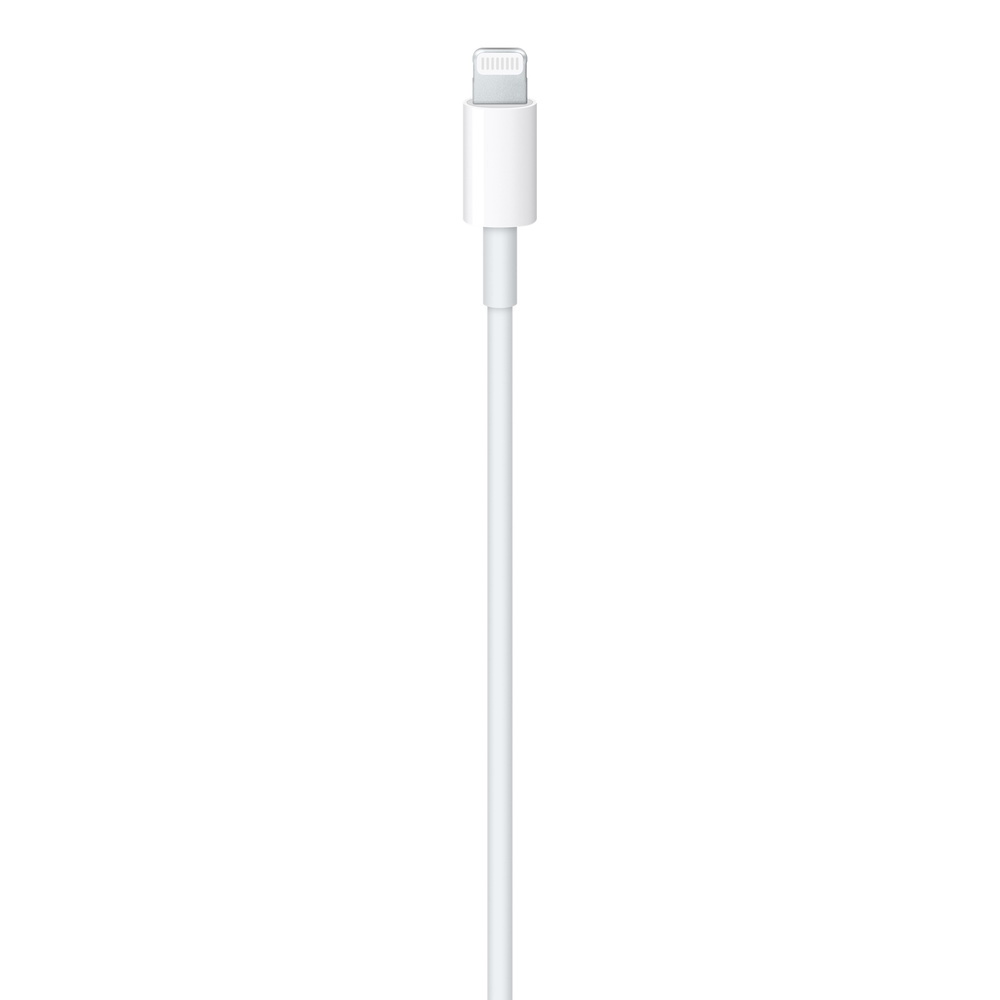 APPLE原廠 USB-C 對 Lightning 連接線 1公尺 2021 MM0A3FE/A TYPE-C 神腦生活