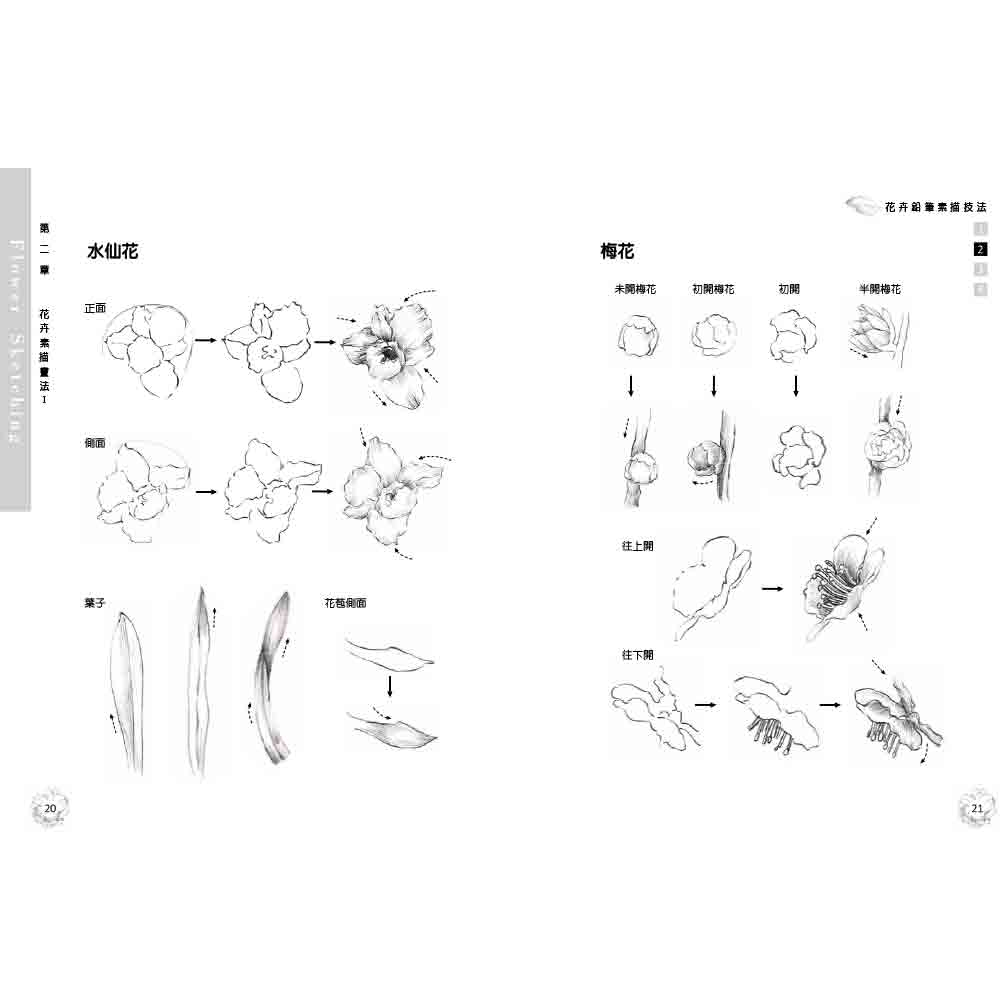 【優品】花卉鉛筆素描技法