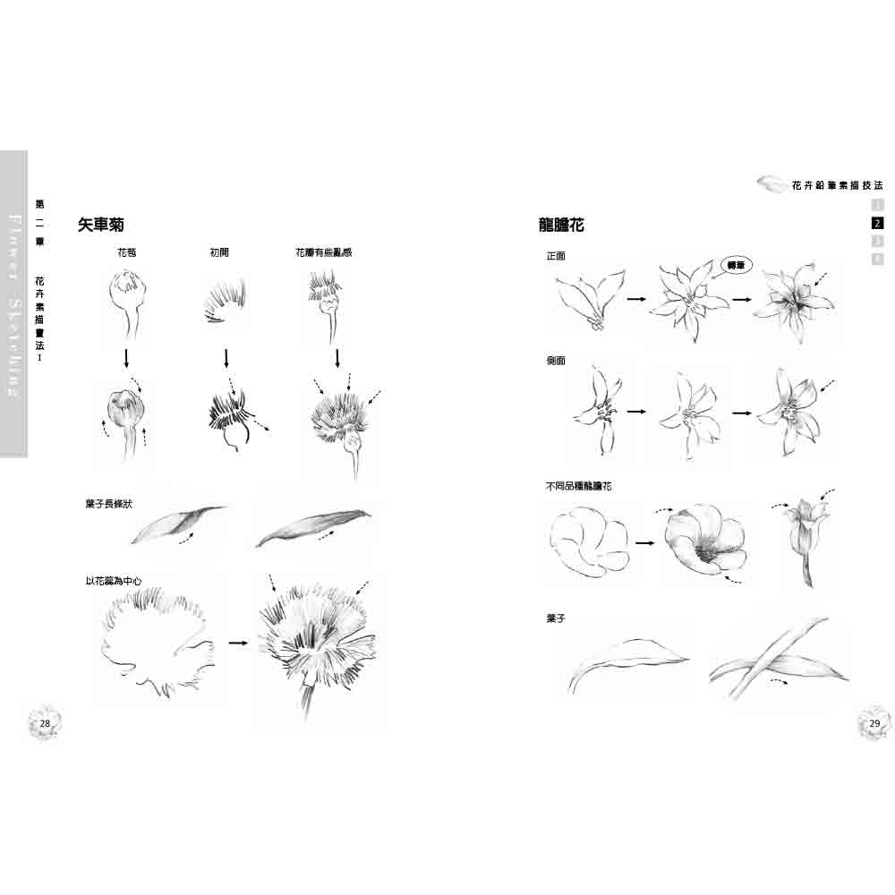 【優品】花卉鉛筆素描技法