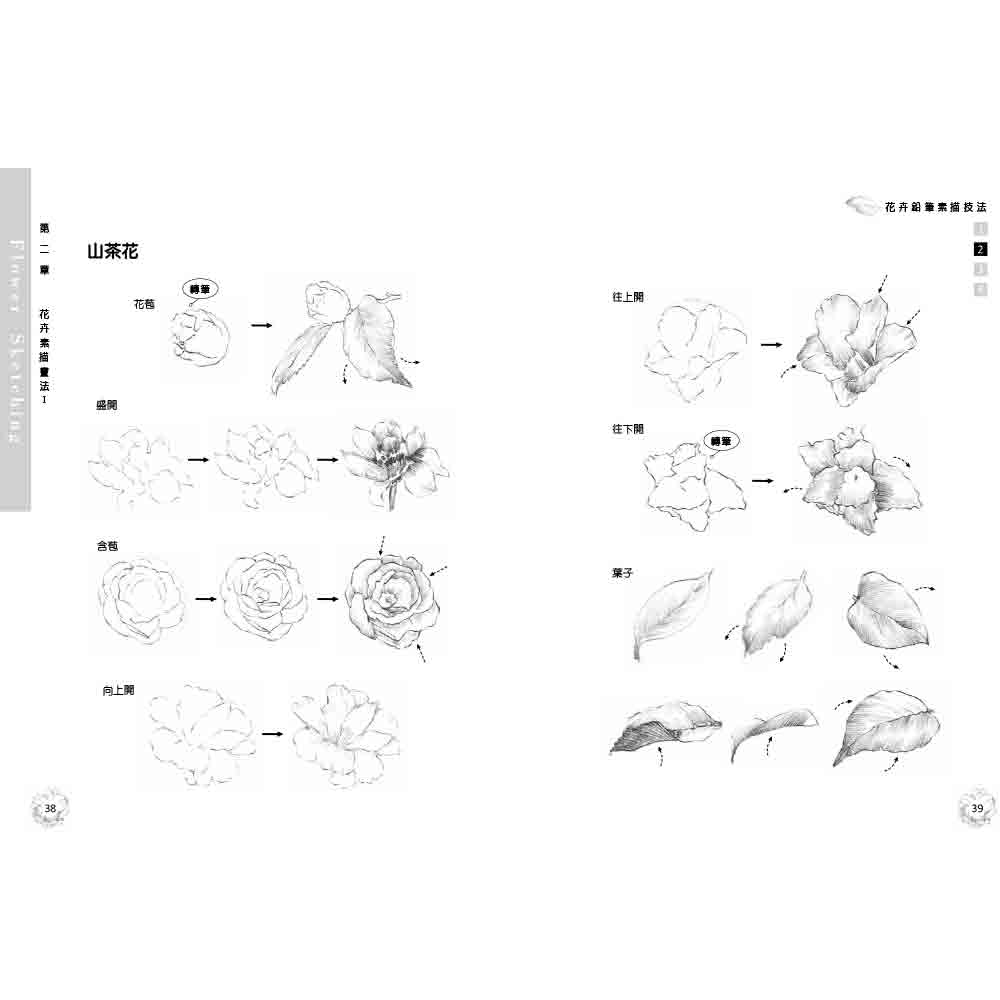 【優品】花卉鉛筆素描技法