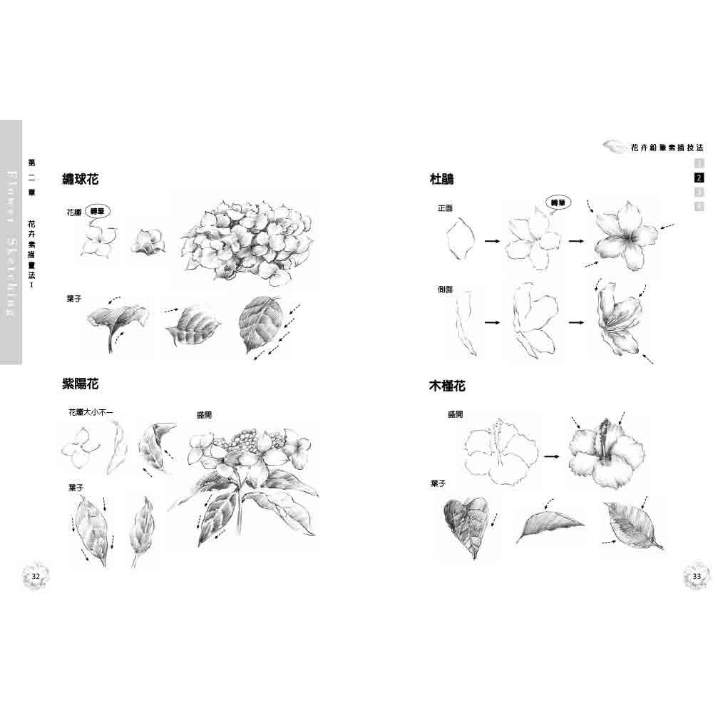 【優品】花卉鉛筆素描技法