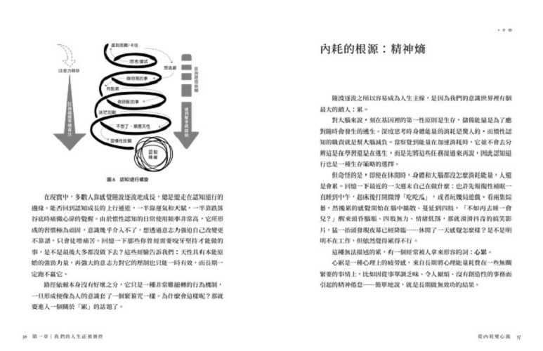 【虎吉】從內耗變心流:清理「精神熵」，重整內在秩序，驅動最高行動力與幸福感