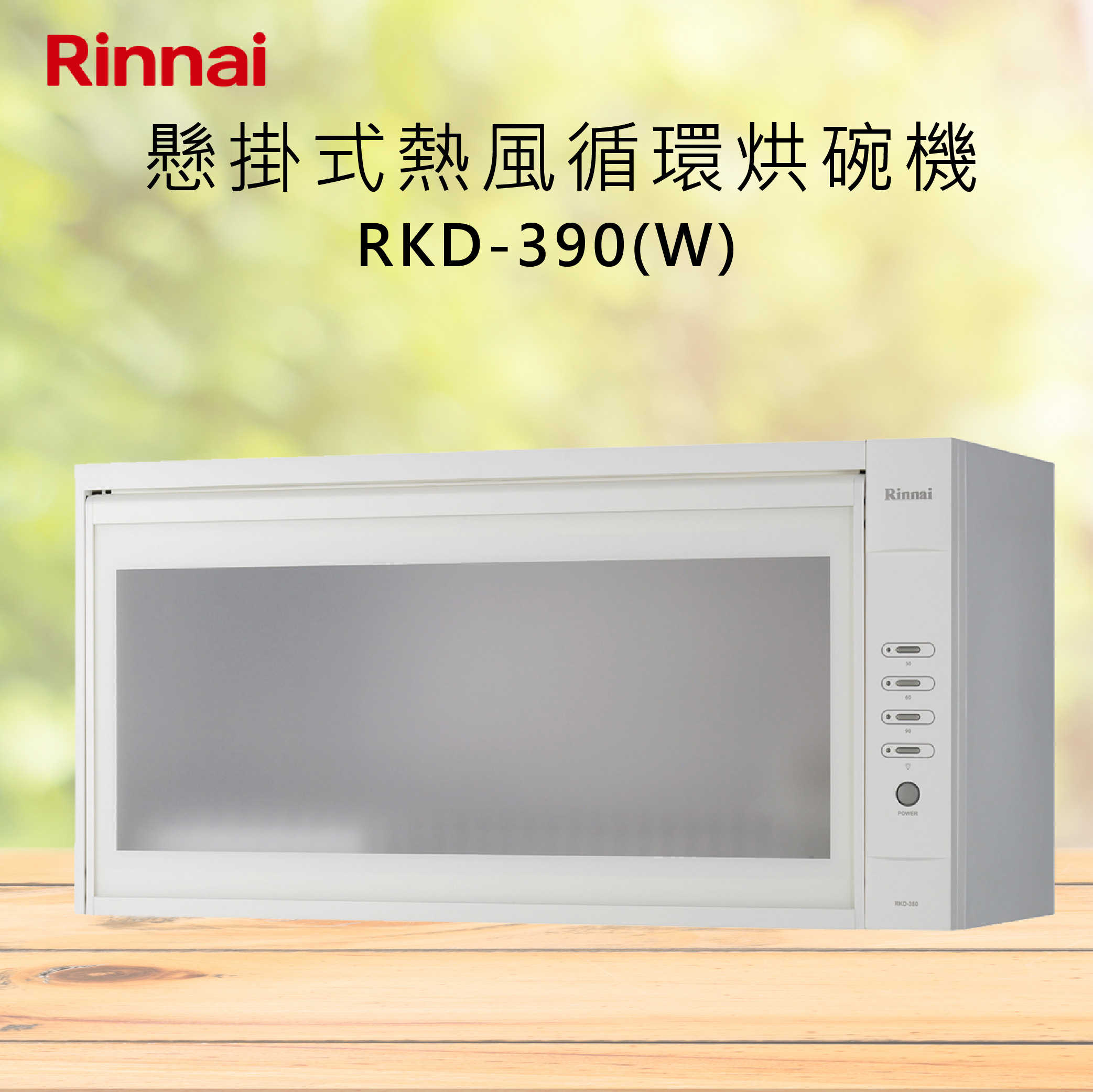 Rinnai林內【RKD-390(W)】懸掛式熱風循環烘碗機 北北基安裝