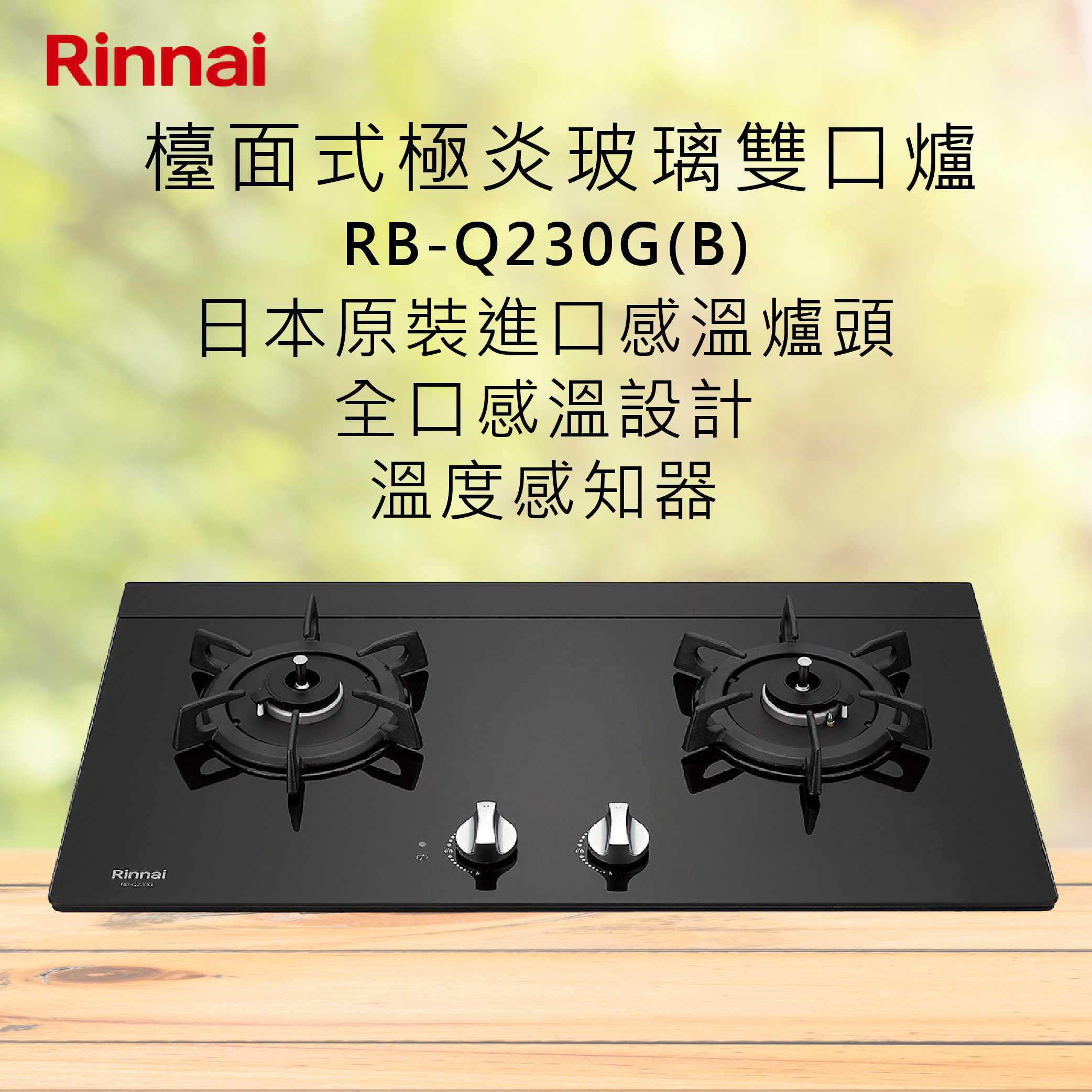 Rinnai林內【RB-Q230G(B)】檯面式感溫玻璃雙口爐 北北基安裝