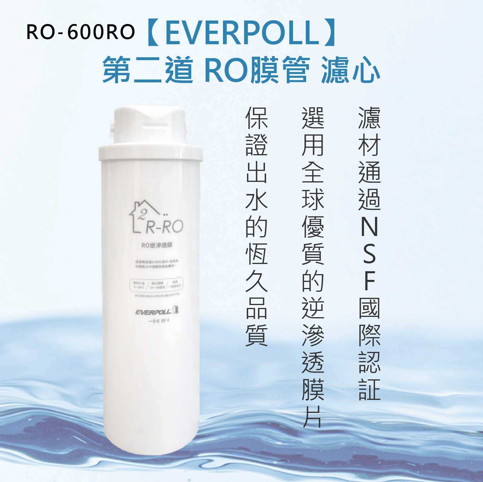 【EVERPOLL】RO濾心 【RO-600RO】RO逆滲透 直輸機 專用第二道濾心RO逆滲透膜 淨水