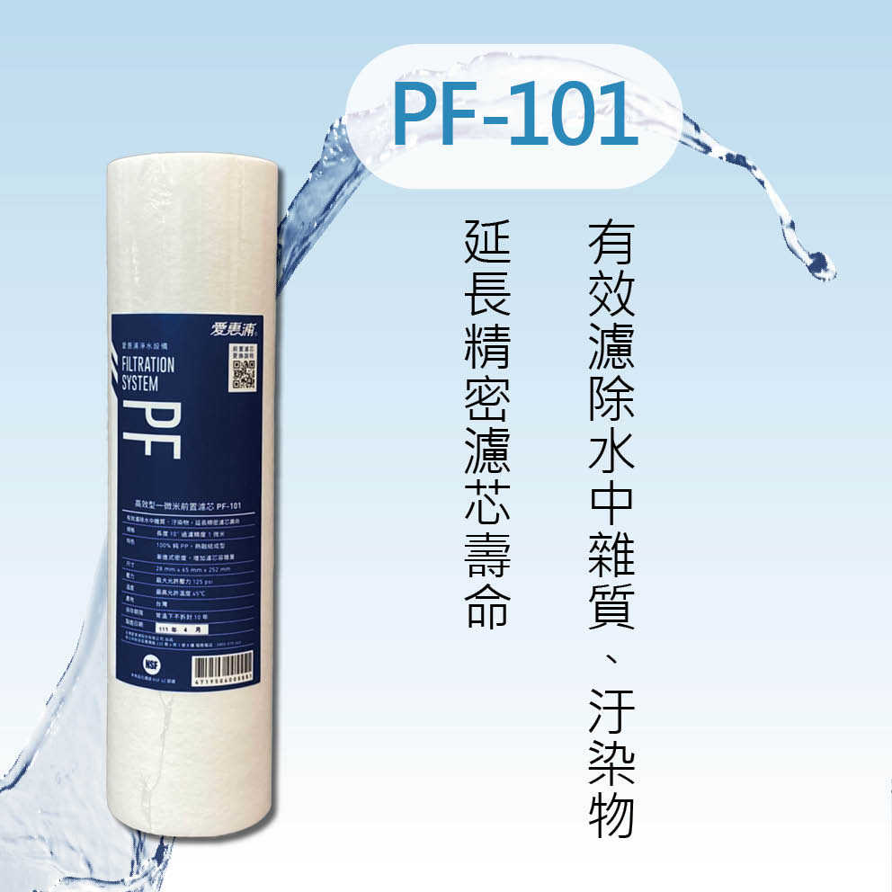 【公司貨】愛惠浦  PF-101 res800 cto100 樹脂 通用濾心