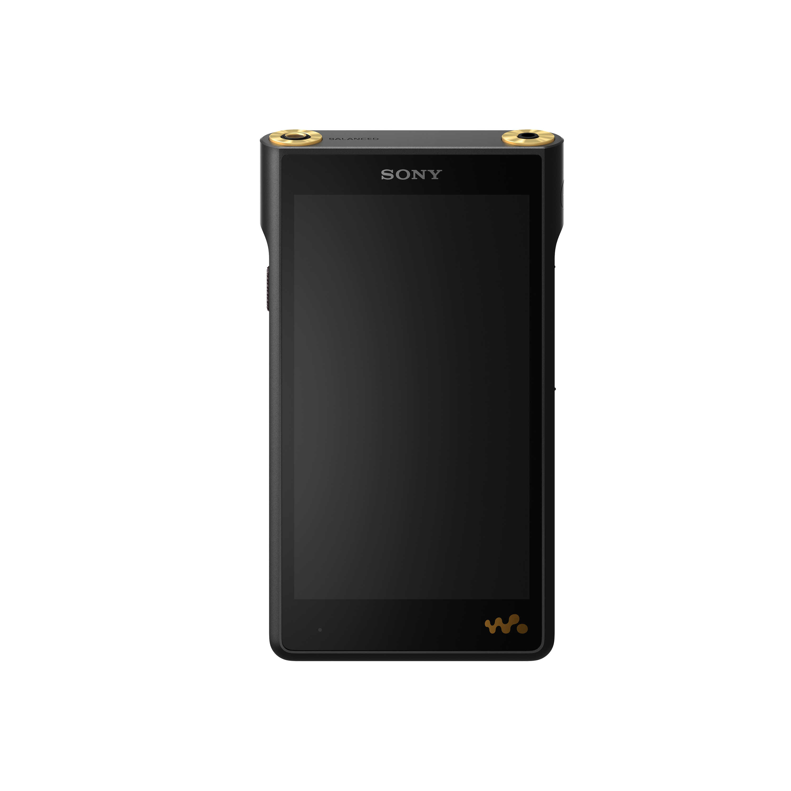 【樂昂客】(熱銷預購)免運可議 SONY 索尼 NW-WM1AM2 Walkman播放器 黑磚二代